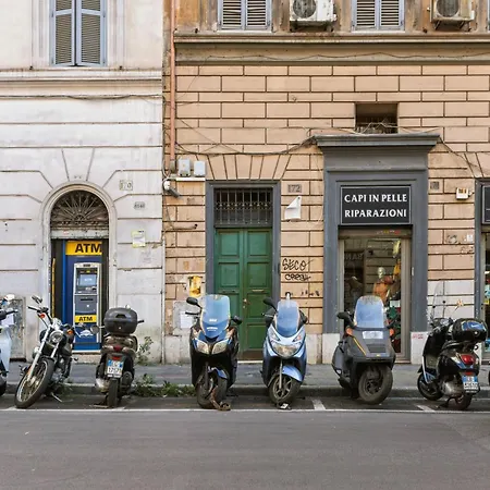 Colosseum Street Haven